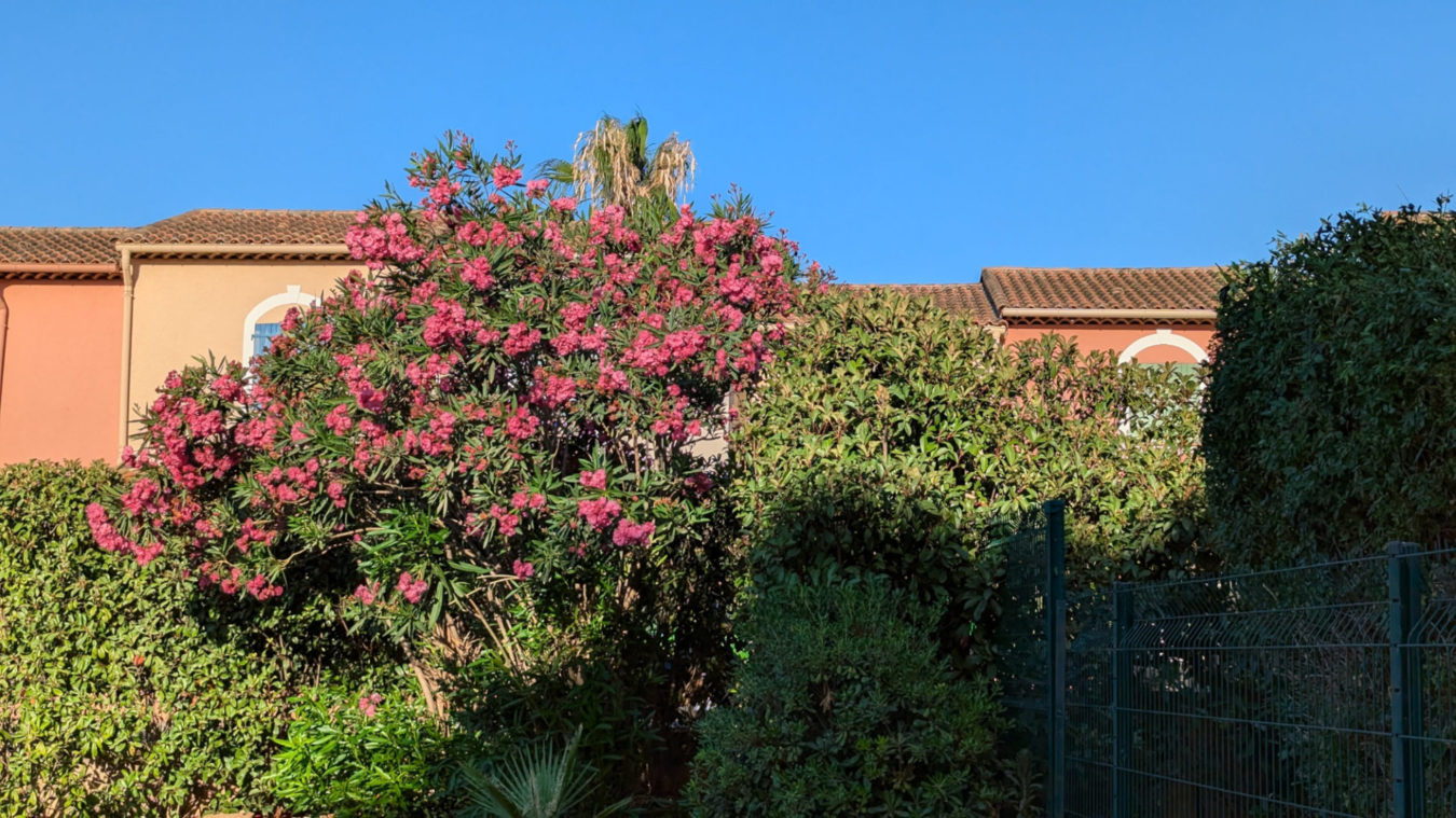 La Croix Valmer Au Printemps